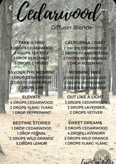 Cedarwood Diffuser Blends, Doterra Cedarwood, Doterra Recipes, Helichrysum Essential Oil, Doterra Oil, Cedarwood Oil