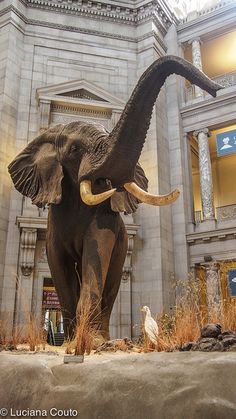 an elephant statue in front of a large building