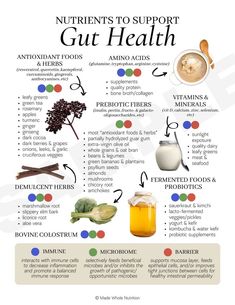 Holistic Health Nutrition, Gut Health Diet, Nutritious Foods, Makanan Diet, Home Health Remedies, Herbs For Health, Health Research, Naturopathy