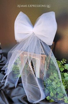 a white bow on top of some plants