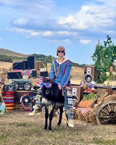 a woman standing next to a black and white cow on top of a grass covered field