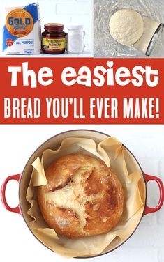 Bread Recipes Easy Rosemary Dutch Oven Bread, Easy Crusty Bread Recipe, Easy Crusty Bread, Dutch Oven Bread Recipe, Easy No Knead Bread, Bread Recipes Easy, Cranberry Nut Bread, Crusty Bread Recipe, Best Pumpkin Bread Recipe