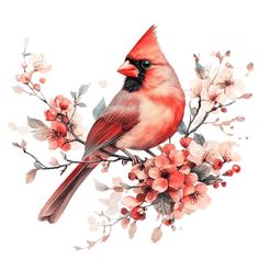 a red bird sitting on top of a tree branch with pink and white flowers around it