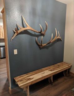 two antlers mounted to the wall above a bench in front of a blue wall