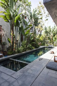 an outdoor swimming pool surrounded by trees and plants