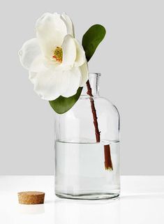 a white flower in a glass vase with a cork on the table next to it