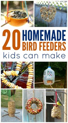 20 homemade bird feeders that kids can make for the birds in their yard or garden