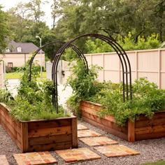 an outdoor garden with wooden planters and trelliss