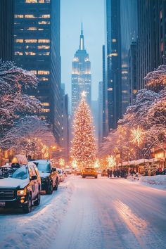 a christmas tree in the middle of a city street with cars driving down it and snow on the ground