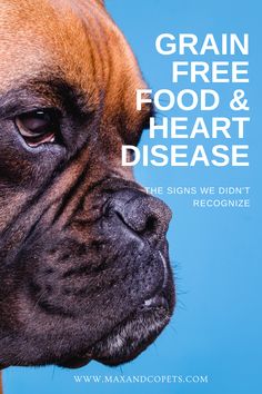 The signs we didn't recognize in our own dog that could have saved his life. | DCM Awareness Healthy Dog Treats Homemade, Heart Muscle, Trust Your Gut