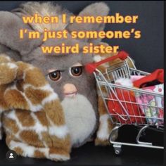 a stuffed animal with a shopping cart in front of it that says, when i remember i'm just someone's weird sister