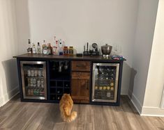 an orange cat standing in front of a wine cooler