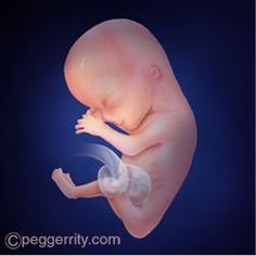 an image of a baby that is in the air with it's legs spread out