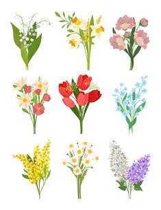 six different types of flowers on a white background