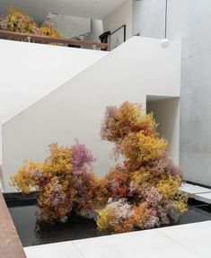 an artistically designed sculpture in front of a white building with trees growing out of it