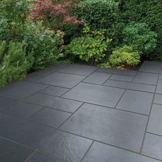 an outdoor patio surrounded by greenery and shrubbery