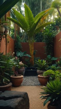 an outdoor garden with lots of plants and rocks in the center, surrounded by palm trees