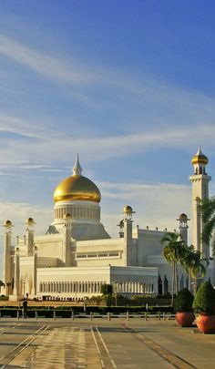 a large white building with a gold dome on top and palm trees in the foreground