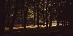 the sun is shining through the trees in the park