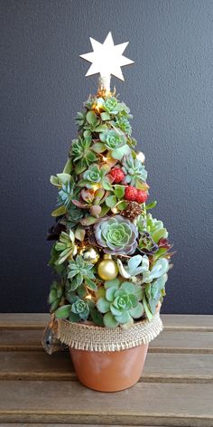 a potted christmas tree is decorated with succulents