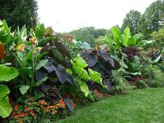 a lush green garden with lots of flowers and plants growing on the side of it