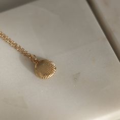 Gold Seashell Necklace. Personalized Jewelry Makes The Sweetest, Meaningful Gift! 45cm Length Alloy New In Box Photos Are My Own Dainty Shell Necklaces Perfect As Gifts, Dainty Shell Charm Necklace For Gift, Gold Seashell Necklace, Seashell Necklace, Jewelry Lookbook, Necklace Personalized, Meaningful Gifts, Personalized Jewelry, Womens Jewelry Necklace