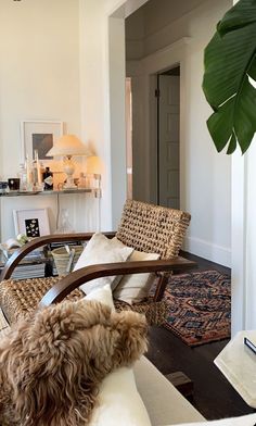 a living room filled with furniture and a plant