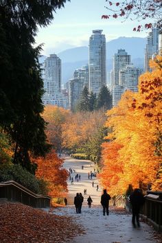 people walking down a path in the fall with leaves on the ground and tall buildings in the background