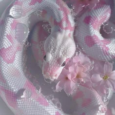 a pink and white snake with flowers in its mouth