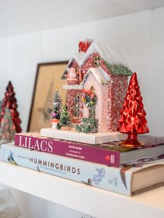 two books are stacked on top of each other in front of a house with christmas decorations