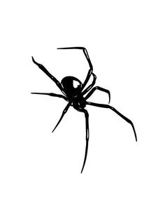 spider tattoo, stylish tattoo, tattoo sticker, tattoo ideas, tattoo sketch, black and white, Semipermanent Tattoo 2*2 inch Orb Weaver Tattoo, Sticker Tattoo Ideas, Black Widow Spider Tattoo, Inch Tattoo, Widow Tattoo, Black Widow Tattoo, Goth Tattoo, Clever Tattoos, Be A Light