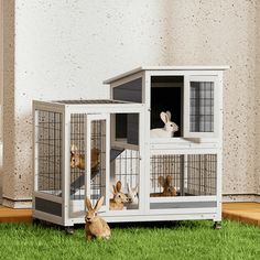 two rabbits in their cages on the grass next to a building with windows and doors