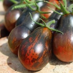 several different types of tomatoes on the ground