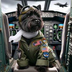 a dog dressed in an air force pilot's uniform sitting in the cockpit of a plane