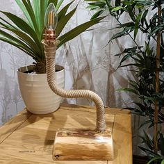 a wooden table topped with a plant and a lamp