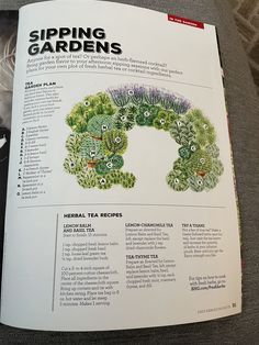 an open book with instructions on how to use the spring garden in it's pages