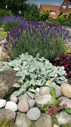 Central Texas Landscaping, Texas Landscaping Front Yard, Texas Landscaping Ideas, Garden With Rocks, Texas Landscaping, Landscaping With Large Rocks Front Yard, Landscaping With Large Rocks Natural, Landscaping With Boulders