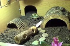 there is a small turtle in the sand next to a wooden structure with logs and rocks