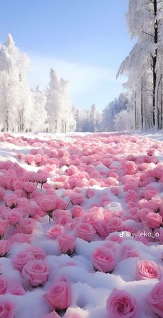 pink flowers are in the snow near trees