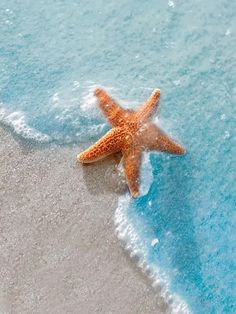 a starfish on the beach with blue water and foamy sand in the background