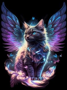 a cat with wings on it's back sitting in front of a black background