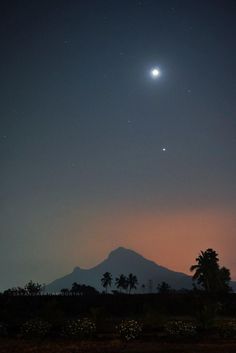 the moon and venus are visible in the night sky over a tropical island with palm trees