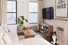 a living room with white furniture and a dog sitting on the floor in front of it