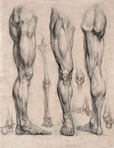 a drawing of the legs and feet of a man with muscles drawn in pencil on paper