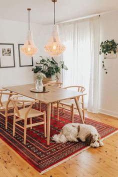 a dog laying on a rug in front of a dining room table with two lamps