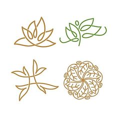 four different types of leaves on a white background