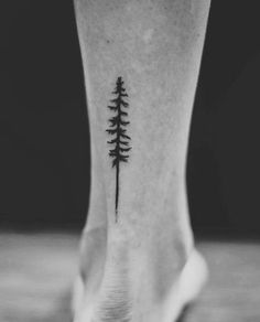 a small pine tree tattoo on the back of the foot is shown in black and white