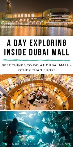 the inside and outside of an aquarium with text overlay that reads, a day exploring inside dubai mall best things to do at