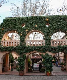 an archway covered in vines and potted plants