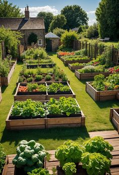 a garden filled with lots of different types of vegetables and plants in wooden raised beds